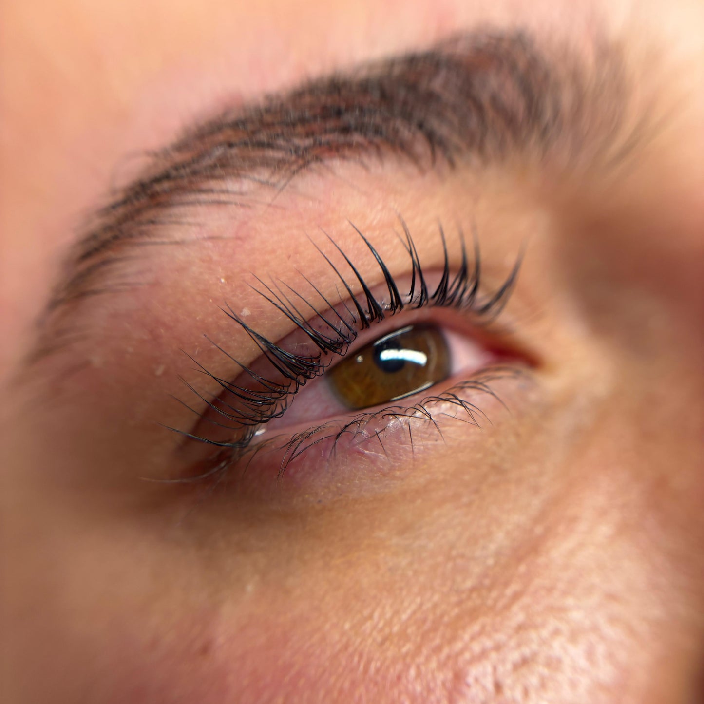Korean Lash Lifting Stuttgart Kornwestheim Beauty By Dilan Qualität Professionell Sanft Hochwertig